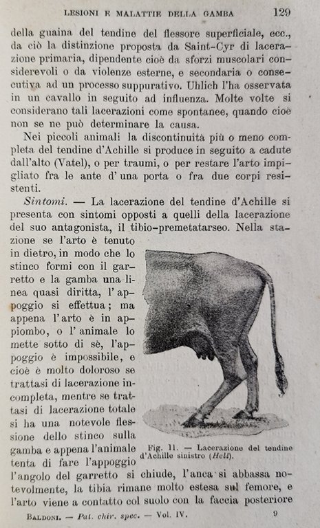 PATOLOGIA E TERAPIA CHIRURGICA SPECIALE. Volume I - II - …