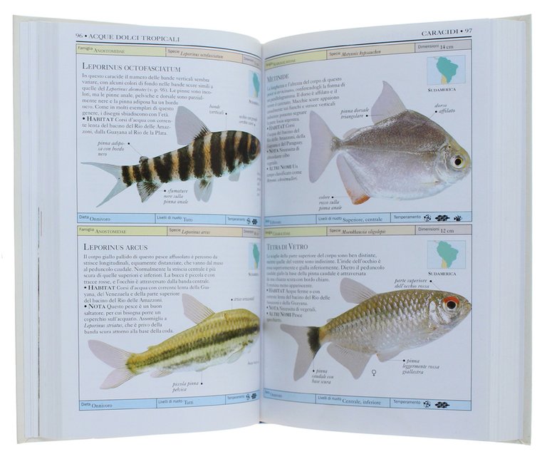 PESCI D'ACQUARIO. Guida illustrata a oltre 500 specie di pesci …