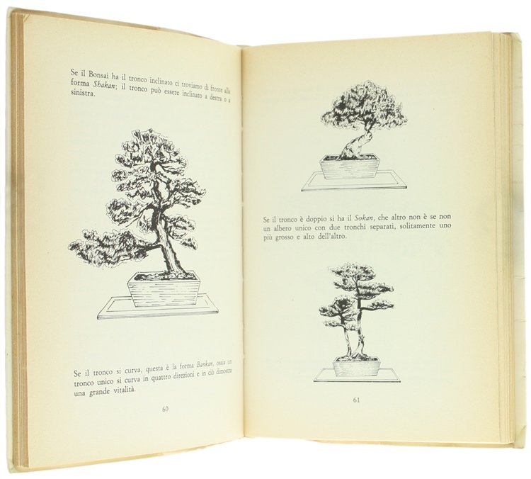 PIANTE DA APPARTAMENTO, BALCONI E TERRAZZE. | Immagine Gallery 4