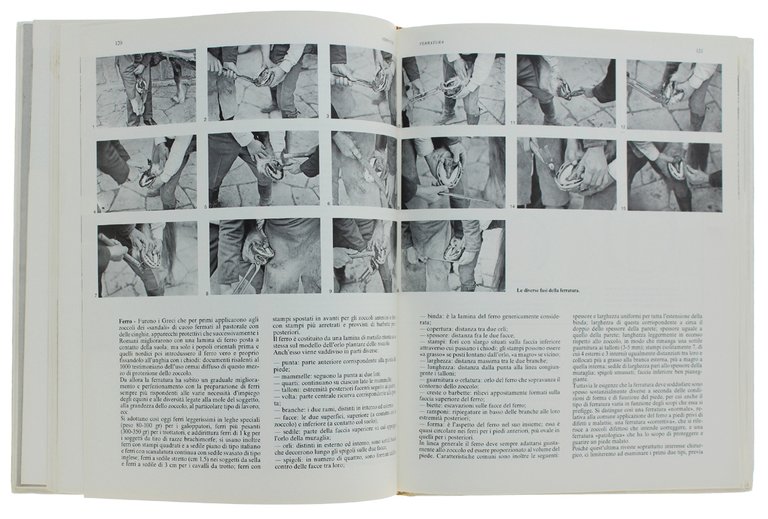 PICCOLA ENCICLOPEDIA DEL CAVALLO [volume ottimo]