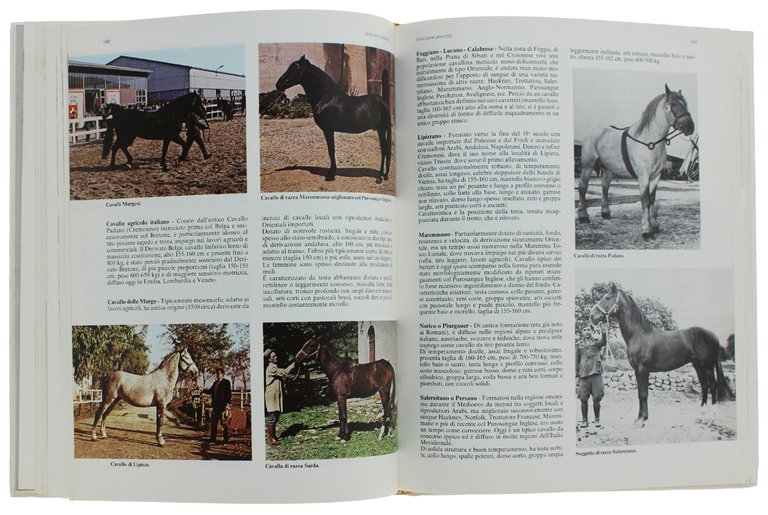PICCOLA ENCICLOPEDIA DEL CAVALLO [volume ottimo]