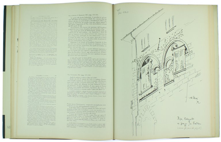 PISA COME PISANO con 353 disegni.