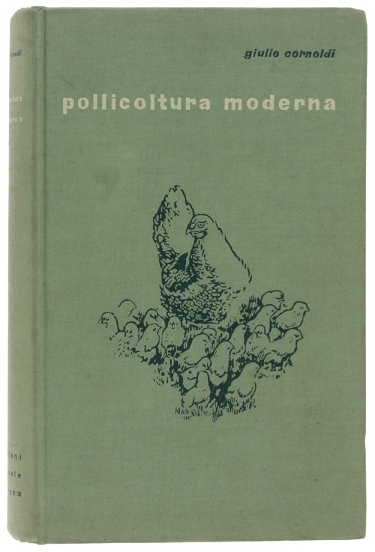 POLLICOLTURA MODERNA.