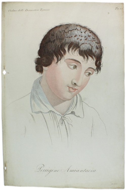 Tavola originale: PORRIGINE AMIANTACEA, N. 15 (da: CLINICA DEL PARIGINO …