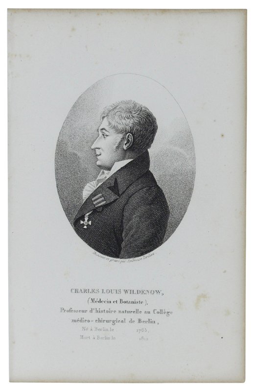 CHARLES LOUIS WILDENOW (Médecin et Botaniste) 1765-1812. Gravure sur acier …