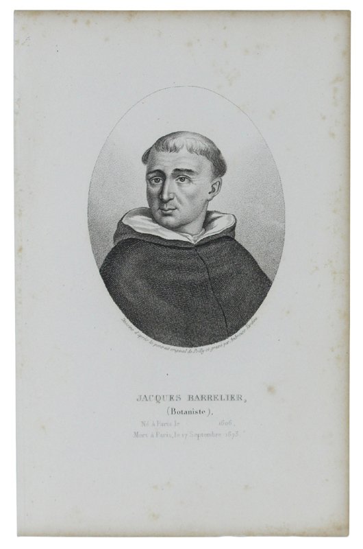 JACQUES BARRELIER (Botaniste) 1606-1673. Gravure sur acier dessinée et gravée …