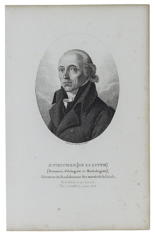 PORTRAIT DE JEAN C. ESCHER DE LA LINTH (Botaniste, Géologiste …