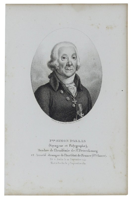 P.RE SIMON PALLAS (Voyageur et Polygraphe) 1741-1811. Gravure sur acier …