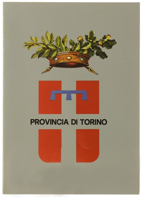 PROVINCIA DI TORINO. Storia - Ruolo - Funzioni.