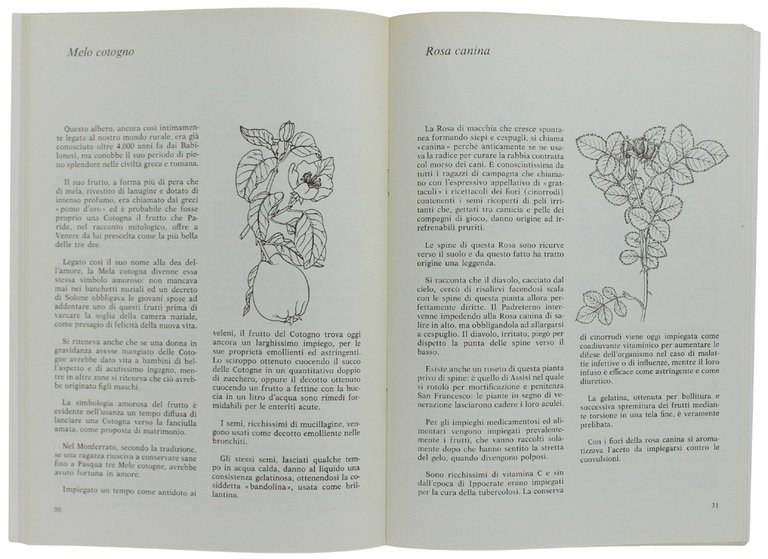 QUADERNO DEGLI ALBERI 3 - LE PIANTE NELLA MEDICINA POPOLARE …