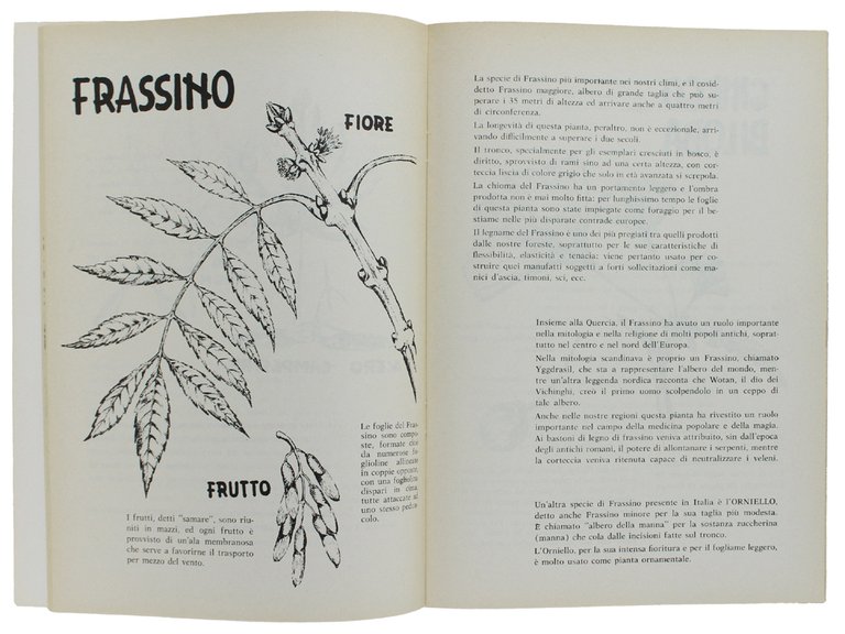 QUADERNO DEGLI ALBERI 1.