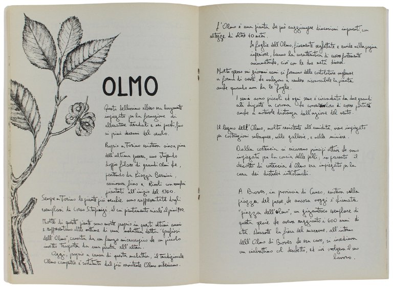 QUADERNO DEGLI ALBERI