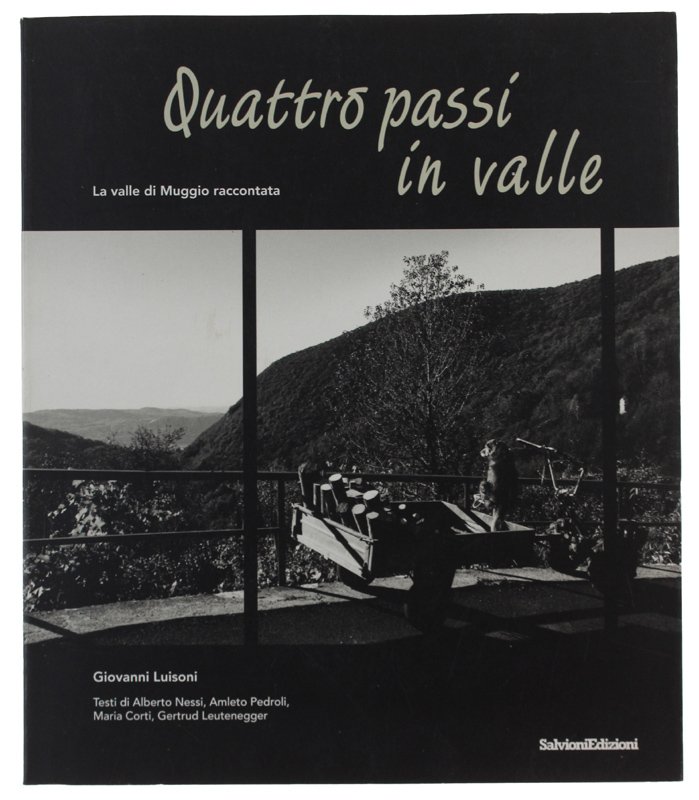 QUATTRO PASSI IN VALLE. La valle di Muggio vista da …