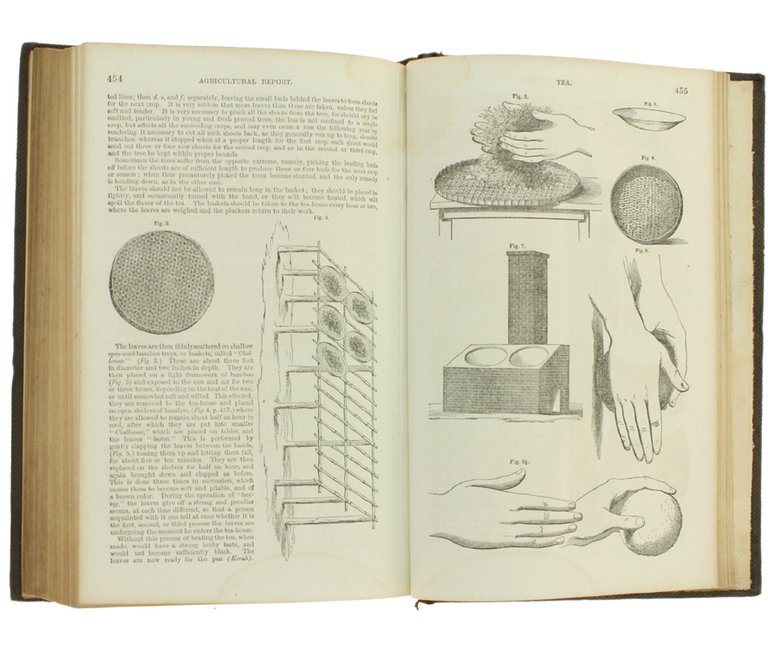 REPORT OF THE COMMISSIONER OF PATENTS FOR THE YEAR 1860 …