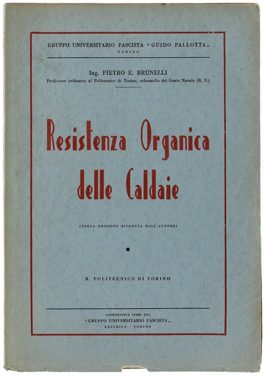 RESISTENZA ORGANICA DELLE CALDAIE. | Immagine Gallery 2