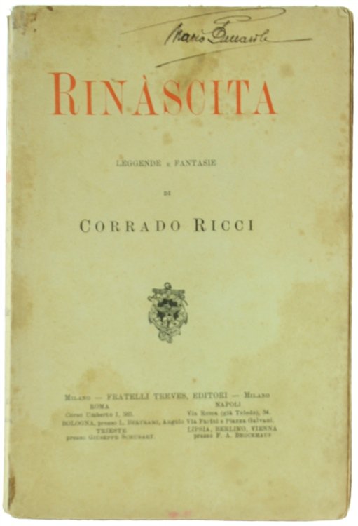 RINASCITA. Leggende e fantasie | Immagine Gallery 2