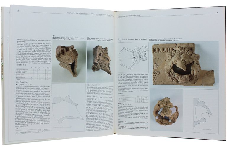 SETTEFINESTRE: una villa schiavistica nell'Etruria romana: Vol. 1. La villa …