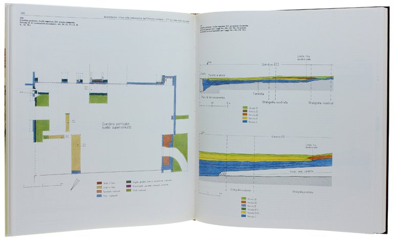 SETTEFINESTRE: una villa schiavistica nell'Etruria romana: Vol. 1. La villa …