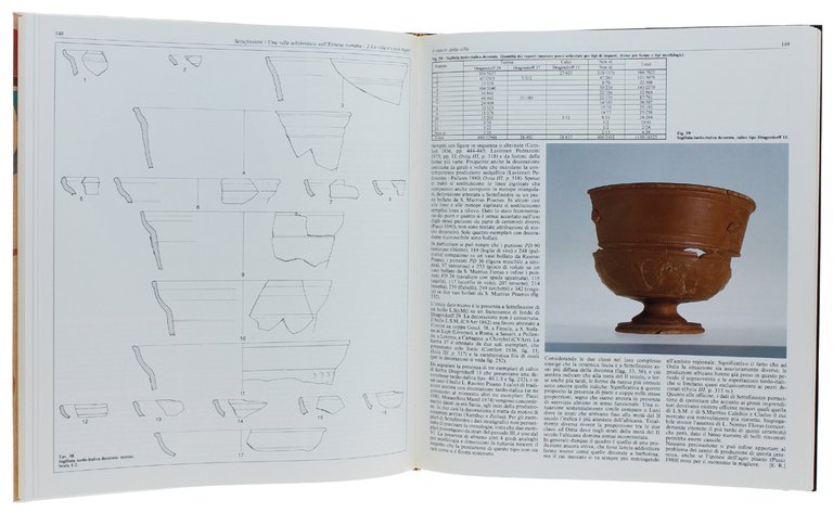 SETTEFINESTRE: una villa schiavistica nell'Etruria romana: Vol. 1. La villa …