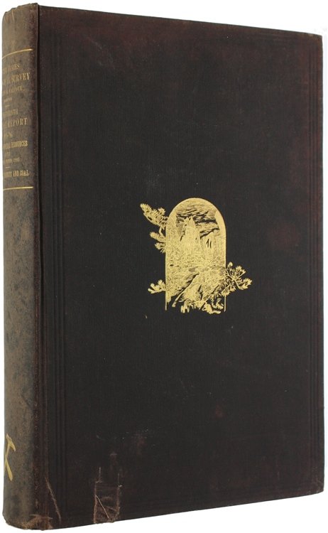 SEVENTEENTH ANNUAL REPORT OF THE UNITED STATES GEOLOGICAL SURVEY TO …