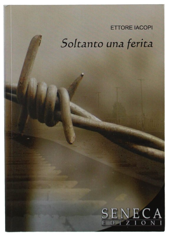 SOLTANTO UNA FERITA