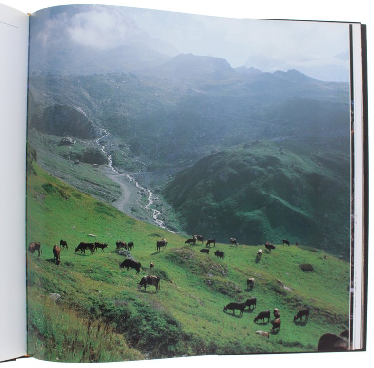 STAGIONI. | Immagine Gallery 5