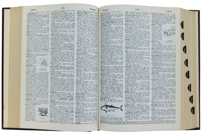 STANDARD DICTIONARY OF THE ENGLISH LANGUAGE combined with BRITANNICA WORLD …