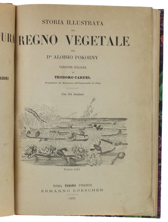 STORIA ILLUSTRATA DEL REGNO VEGETALE. Versione italiana di Teodoro Caruel.