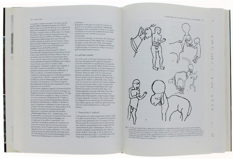 STUDI DI PALETNOLOGIA IN ONORE DI SALVATORE M.PUGLISI. | Immagine Gallery 5