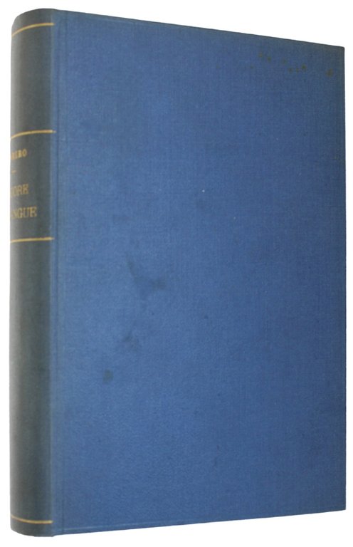 SUDORE E SANGUE. Romanzo