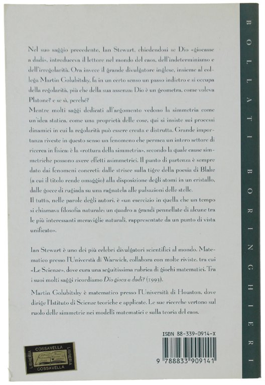 TERRIBILI SIMMETRIE. Dio è un geometra?