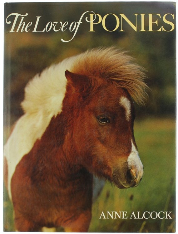 THE LOVE OF PONIES.