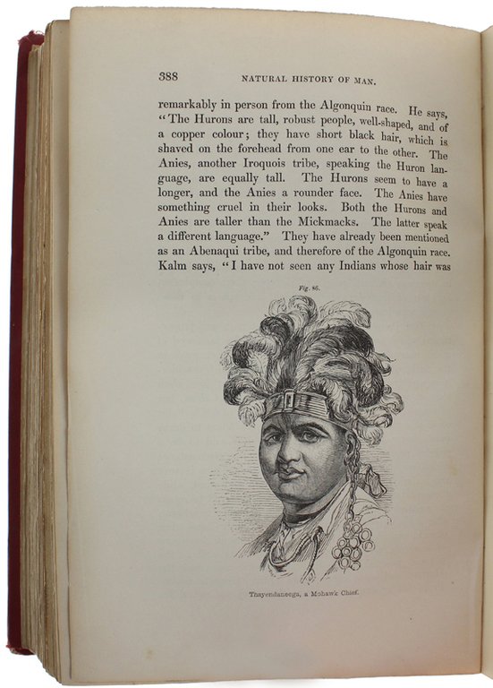 THE NATURAL HISTORY OF MAN. Comprising inquiries into the modifying …