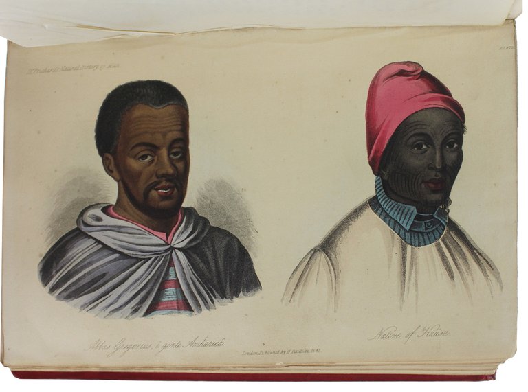THE NATURAL HISTORY OF MAN. Comprising inquiries into the modifying …