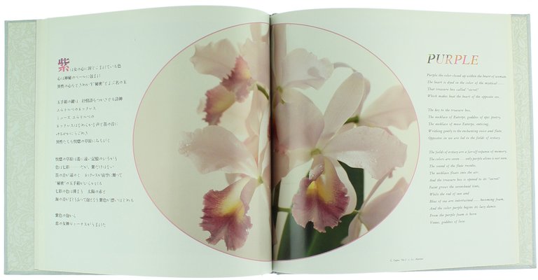 THE ORCHID. | Immagine Gallery 4