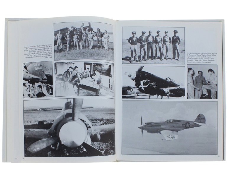 THE P-40 WARHAWK.