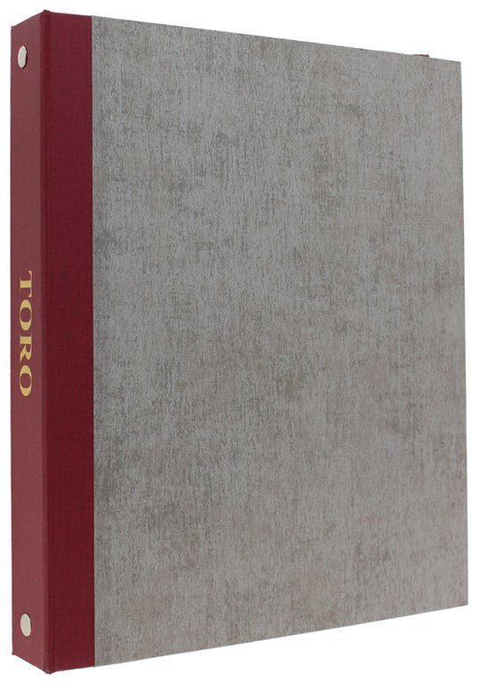 TORINO CALCIO 1906 - COLLEZIONE DI DOCUMENTI E CIMELI DEL …