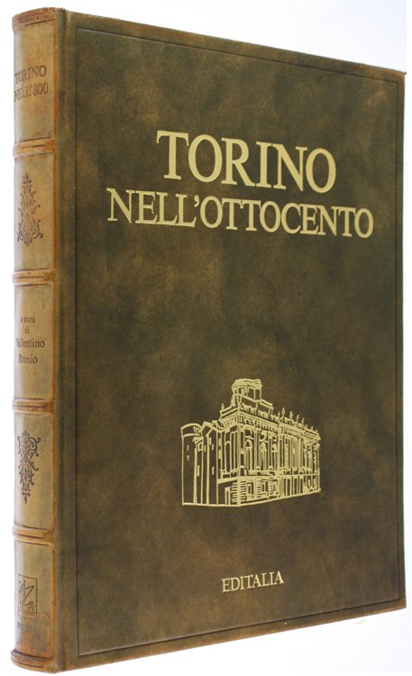 TORINO NELL'OTTOCENTO.