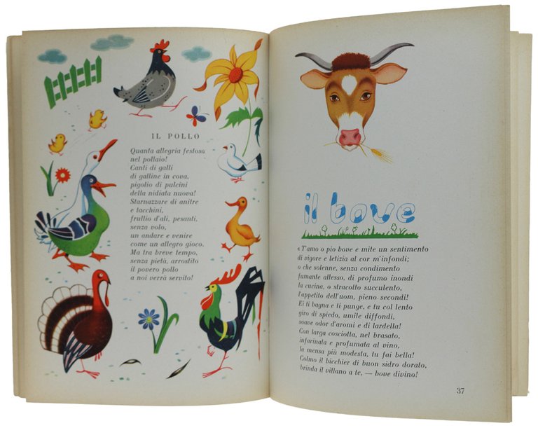 TRA PENTOLE E FORNELLI