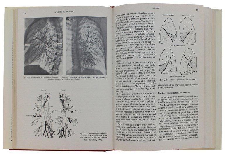 TRATTATO DI ANATOMIA UMANA FUNZIONALE a cura di Helmut Ferner …