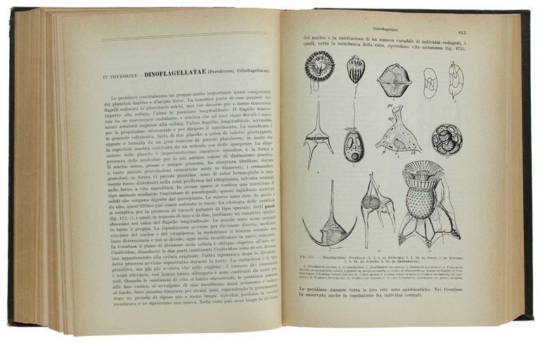 TRATTATO DI BOTANICA