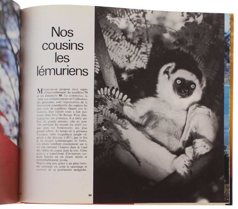 TRESORS VIVANT | Immagine Gallery 3