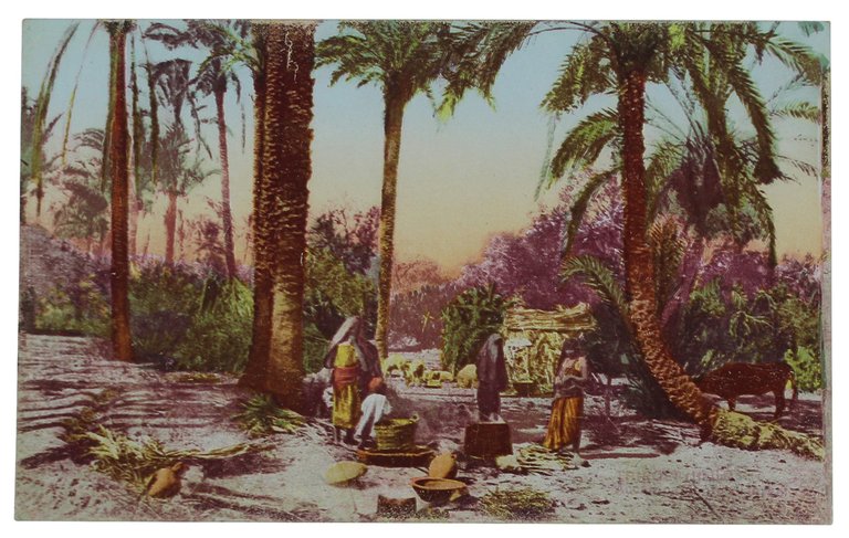 TRIPOLI (Italia) - GRUPPO NELL'OASI. cartolina originale, perfetta (1912)