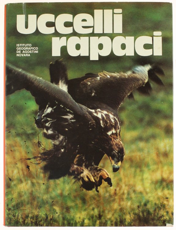 UCCELLI RAPACI.