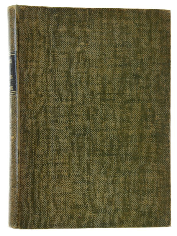 UN INCROCIATORE NELLA RIVOLUZIONE (agosto 1918 - giugno 1919)