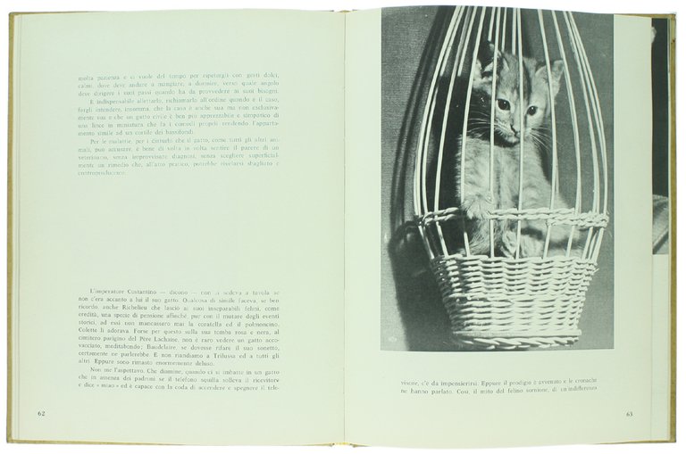 UN PICCOLO ZOO NEL VOSTRO SALOTTO.