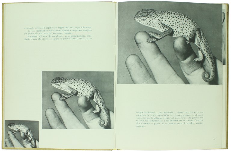 UN PICCOLO ZOO NEL VOSTRO SALOTTO.