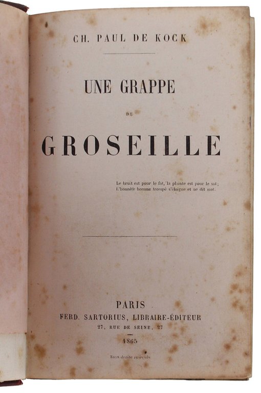 UNE GRAPPE DE GROSEILLE.
