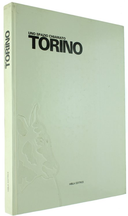 UNO SPAZIO CHIAMATO TORINO.