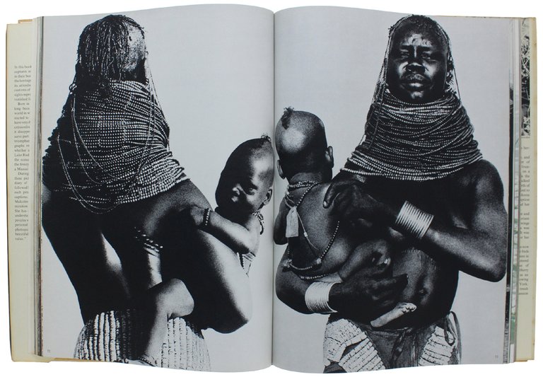 VANISHING AFRICA [english text]